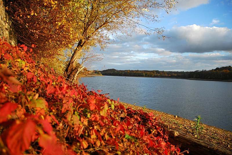 Maison Bord De Lac De Charmes Bannes  ภายนอก รูปภาพ